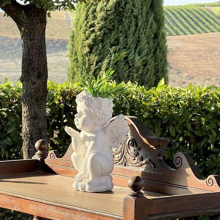 Agriturismo Il Raduno - Max Lelli Marsiliana Bagian luar foto