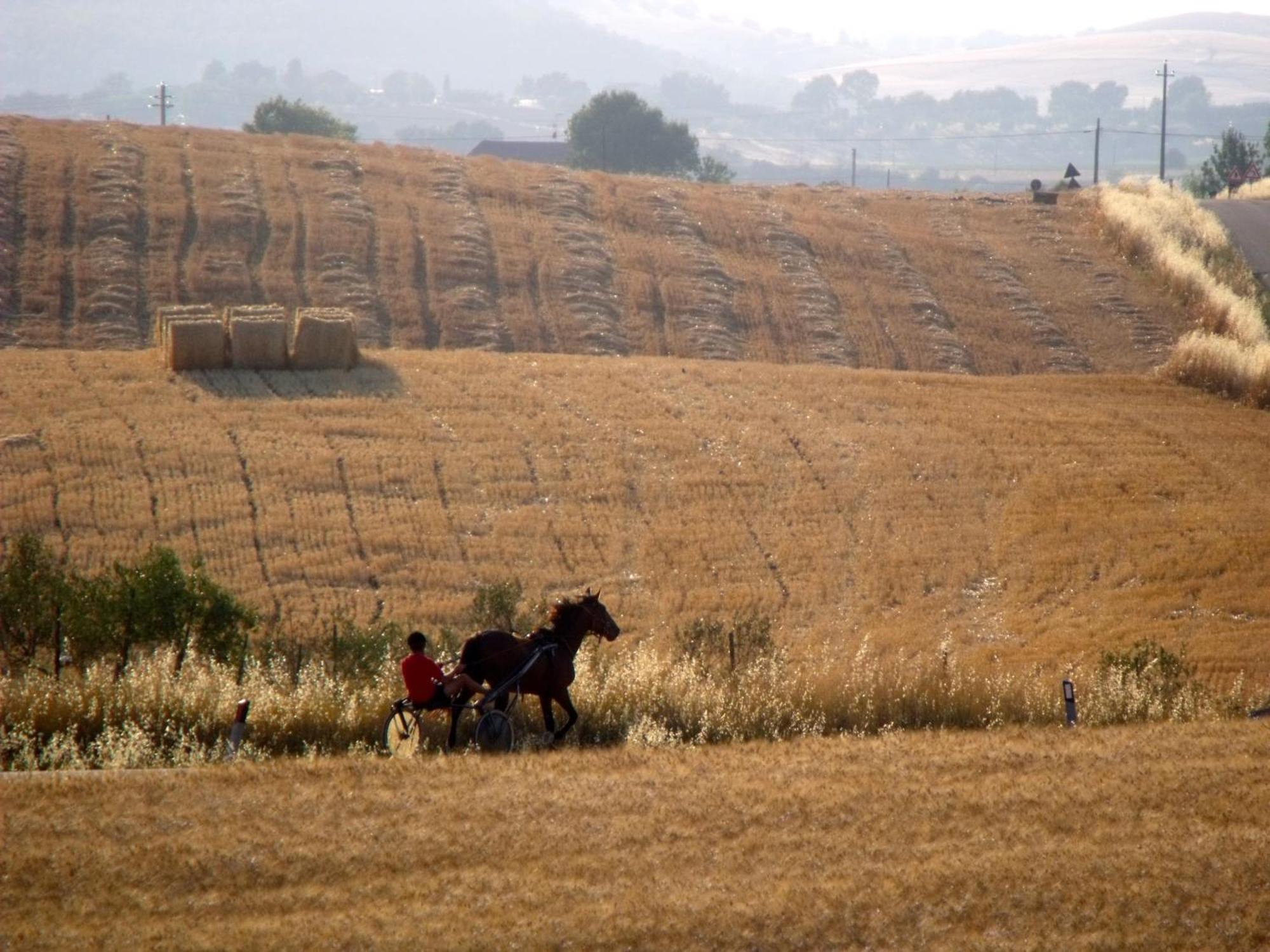 Agriturismo Il Raduno - Max Lelli Marsiliana Bagian luar foto